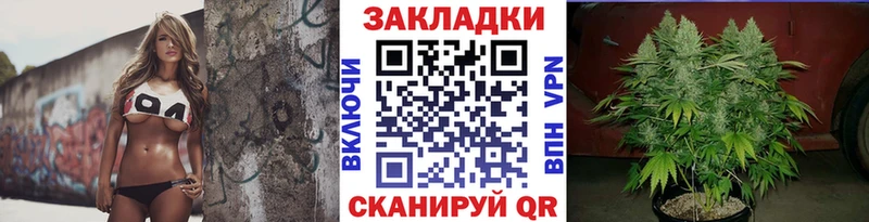 Наркошоп Новый Уренгой Марихуана  APVP  ГАШ  Меф мяу мяу 