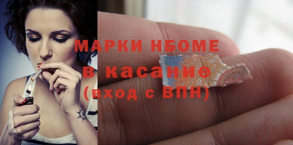 твердый Богородицк