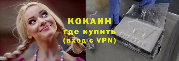 твердый Богородицк