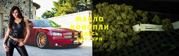 твердый Богородицк