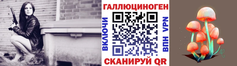 Псилоцибиновые грибы Psilocybine cubensis Новый Уренгой